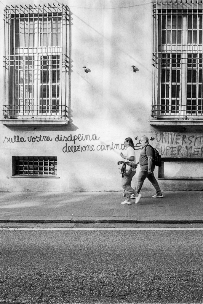 Vostra disciplina (Ilford HP5+)