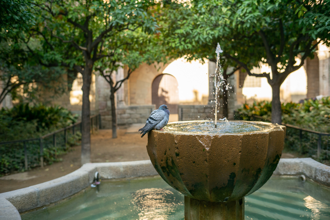 Un peu de fraîcheur