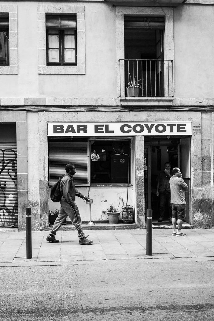 El coyote