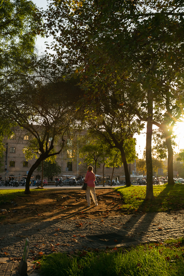 La distribution caritative